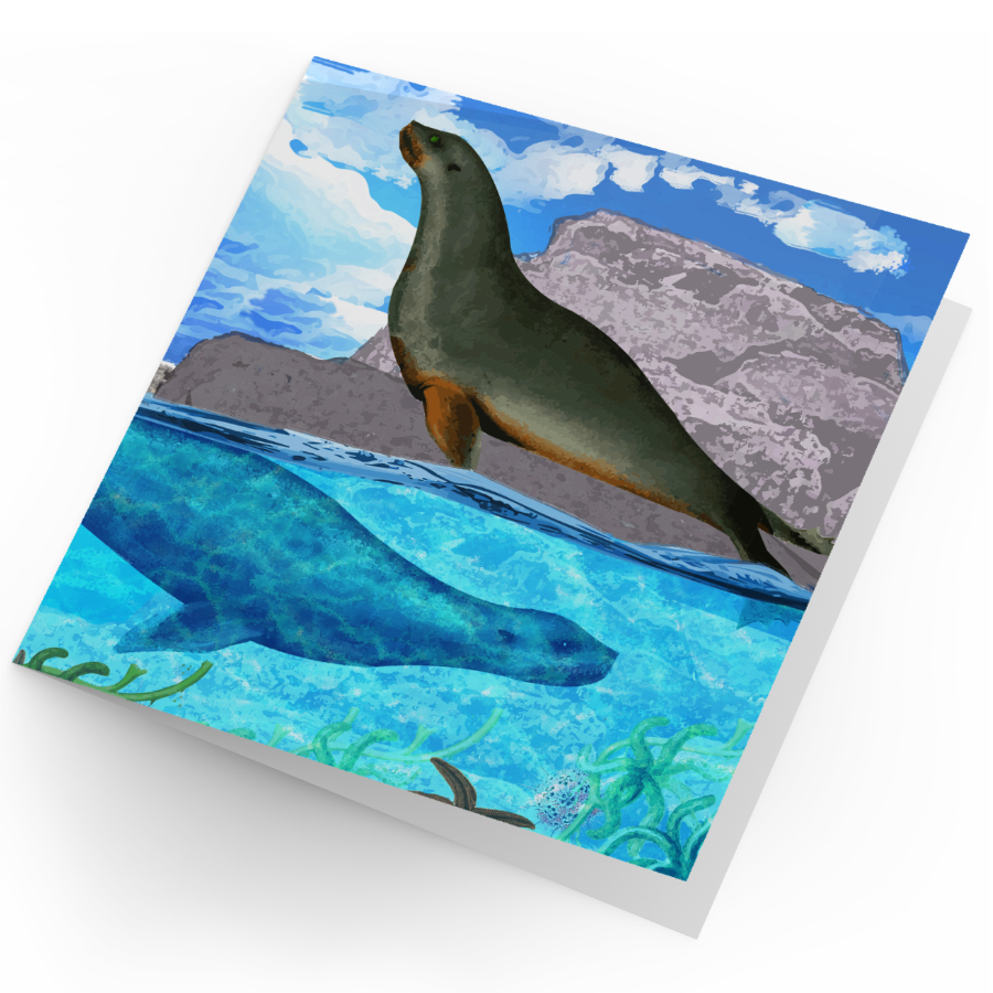 Seals
